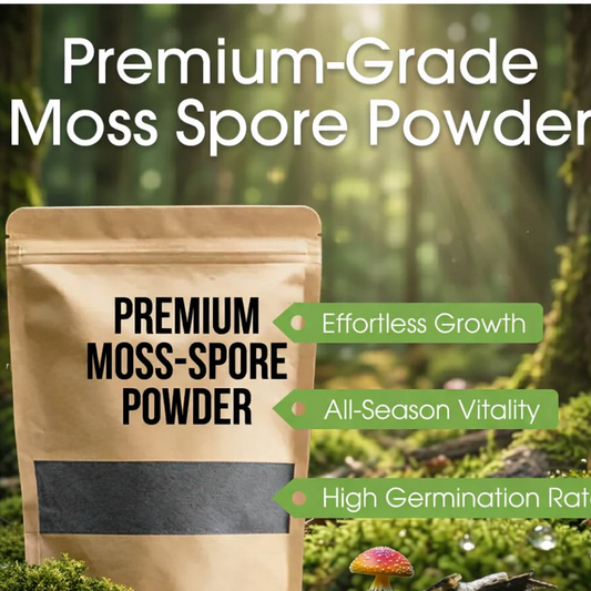 GreenVelvet Moss Powder™ Buy 1 + Get 1 || RapidGrow Moss Spores || NatureBoost Moss Powder
