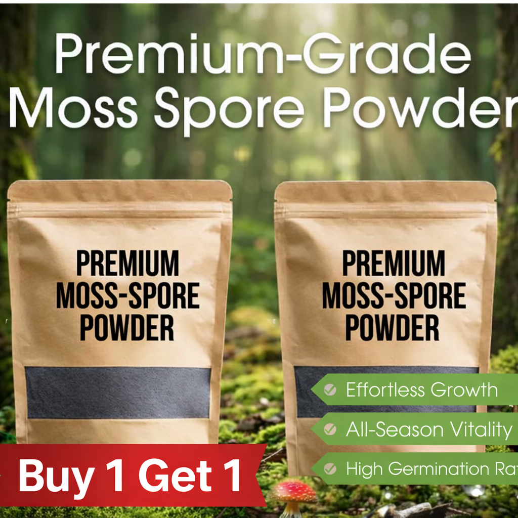 GreenVelvet Moss Powder™ Buy 1 + Get 1 || RapidGrow Moss Spores || NatureBoost Moss Powder