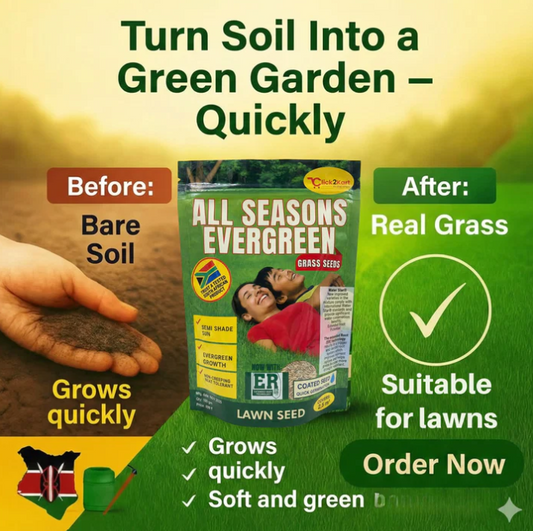 Grass Seeds Hybrid Best For Your Beautiful Home Gardening (Pack Of 200+ seeds) Buy 1 + Get 1