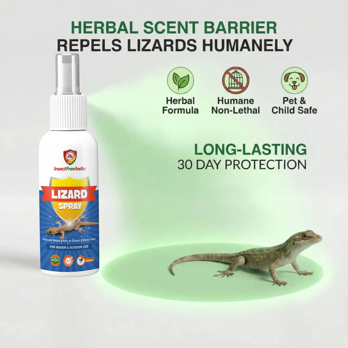 Lizard Repellent Spray (Peck of 3)